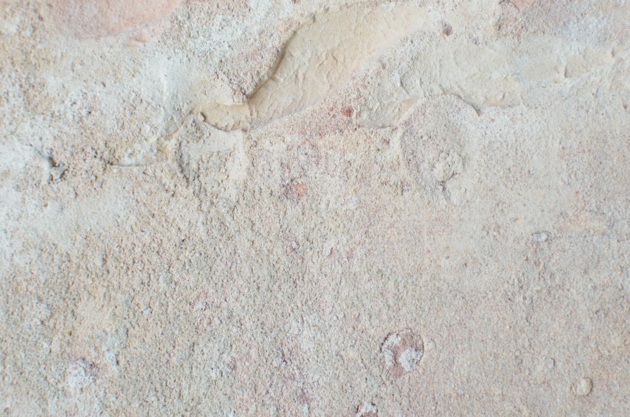 From above of abstract backdrop of old wall with beige stucco and uneven surface with dense texture